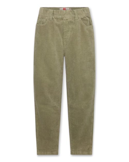 AO76 Cordhose JAMES - Image 3